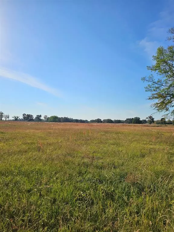 Mount Pleasant, TX 75455,LOT 6 FM 1402