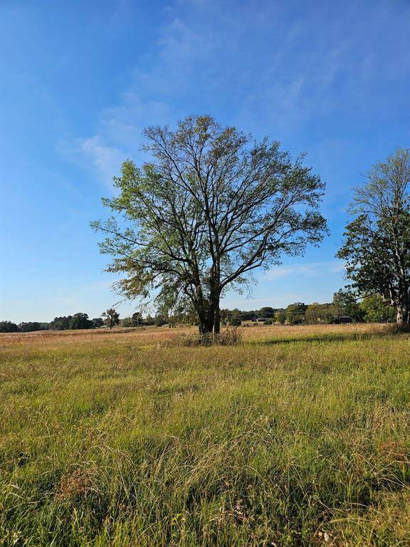 Mount Pleasant, TX 75455,LOT 3 FM 1402