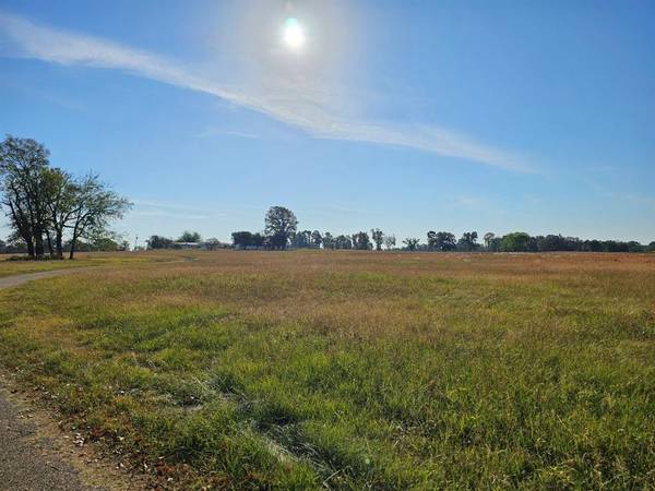 Mount Pleasant, TX 75455,LOT 4 FM 1402