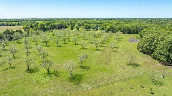 Alba, TX 75410,TBD County Road 1580