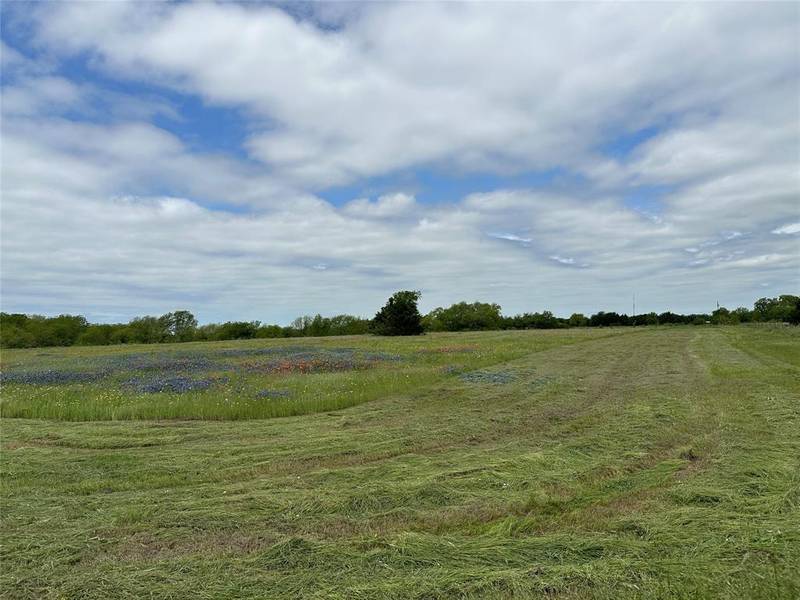 7 Acres TBD FM 633, Powell, TX 75153