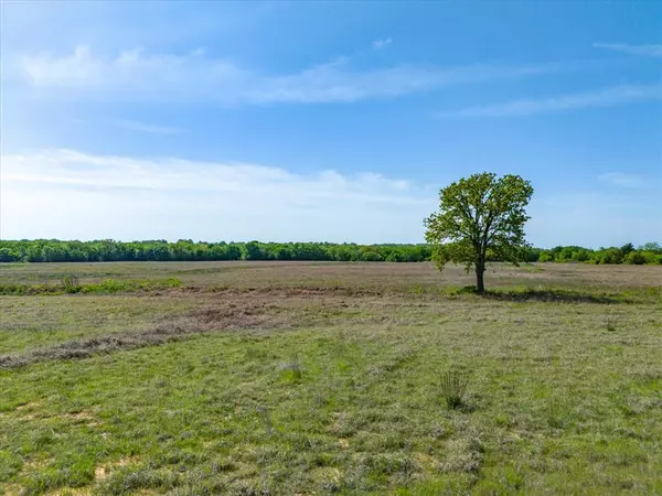 Paradise, TX 76073,TBD 28.03 acres County Road 3525