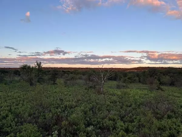 Loving, TX 76460,73 ac Hwy 16