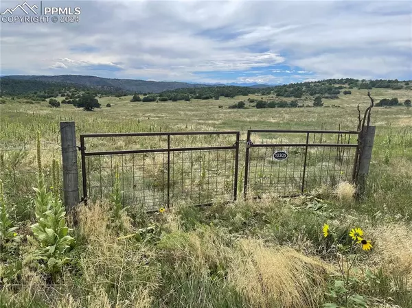 Canon City, CO 81212,10305 County Road 69