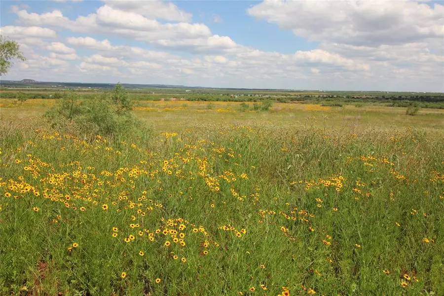 Lot 2 Marshal Trail, Tuscola, TX 79562