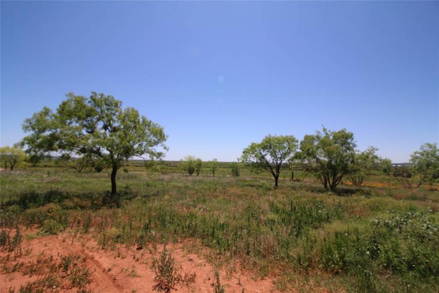 Lot 4 Marshal Trail, Tuscola, TX 79562