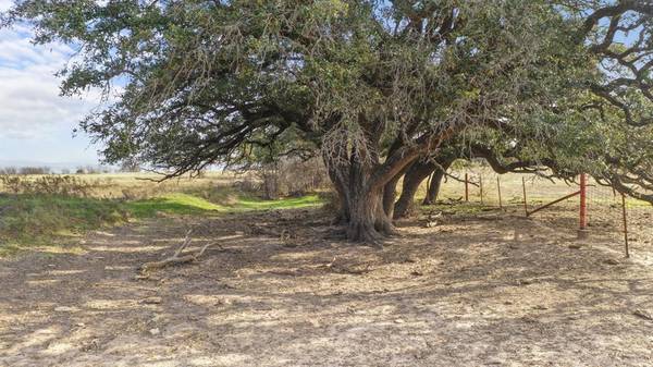 Lipan, TX 76462,747 NATTY FLATS Road