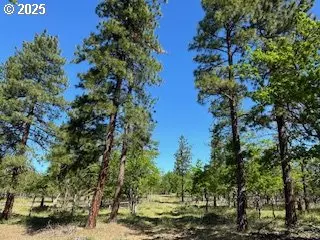 Goldendale, WA 98620,00 D PINE RD