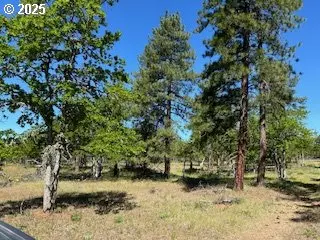 Goldendale, WA 98620,00 D PINE RD