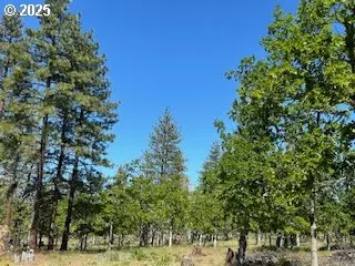 Goldendale, WA 98620,00 D PINE RD