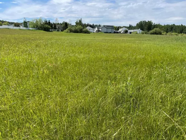 Rural Brazeau County, AB T0E 1Z0,5002 50 St