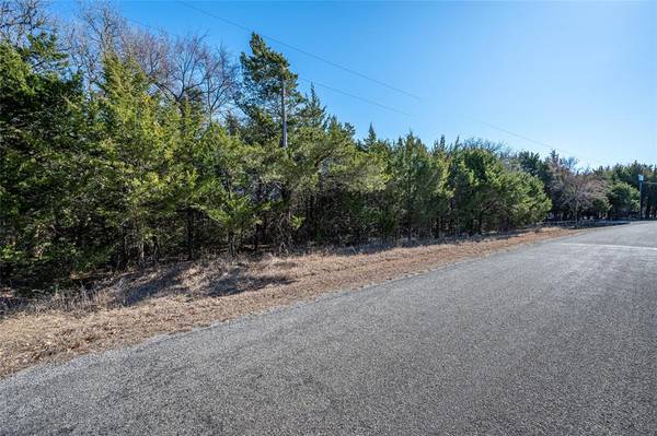 Pottsboro, TX 75076,TBD Needham Road