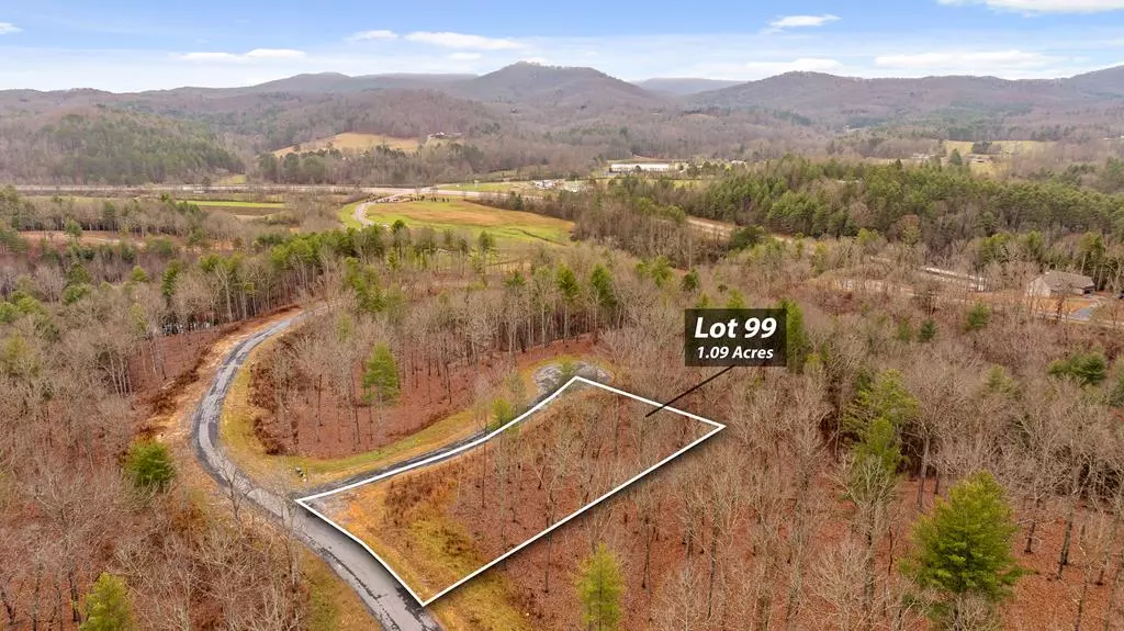 Morganton, GA 30560,Lot 99 South Wind Court