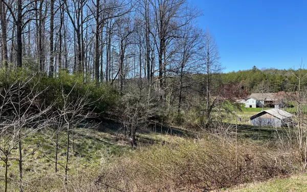 Blairsville, GA 30512,LT 16 Pleasant Meadows