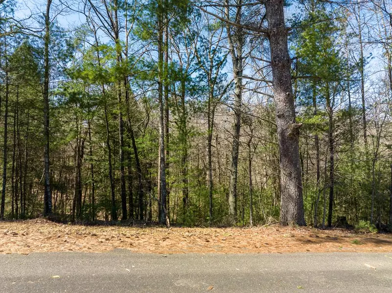 Lot 164 Shenendoa Drive, Ellijay, GA 30540