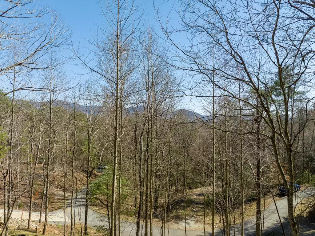 Ellijay, GA 30540,LOT 508 Chicasaw Drive