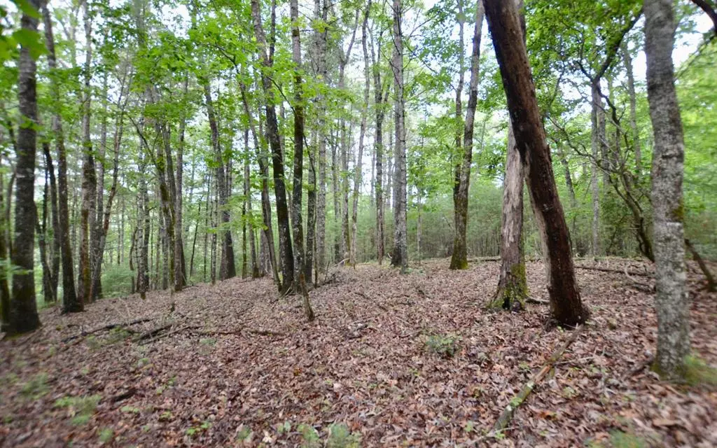 Hiawassee, GA 30546,Lot 12 Hi River Country