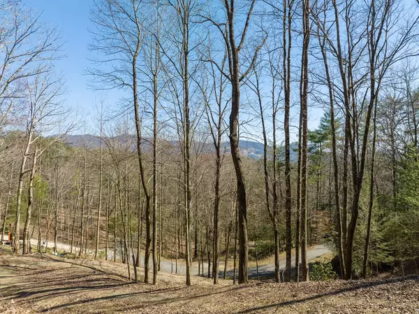 Ellijay, GA 30540,LOT 508 Chicasaw Drive