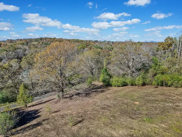 Ellijay, GA 30540,Lot 114 Oak Valley Court