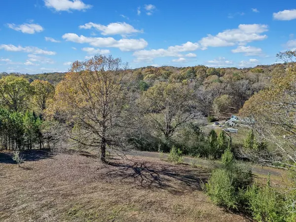 Ellijay, GA 30540,Lot 114 Oak Valley Court