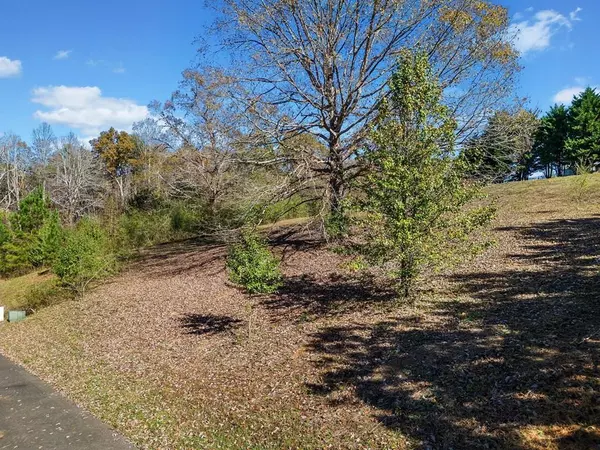 Ellijay, GA 30540,Lot 113 Oak Valley Court