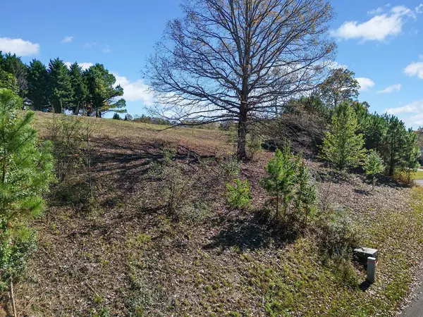 Ellijay, GA 30540,Lot 113 Oak Valley Court