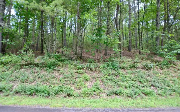 Hiawassee, GA 30546,Lot 12 Hi River Country