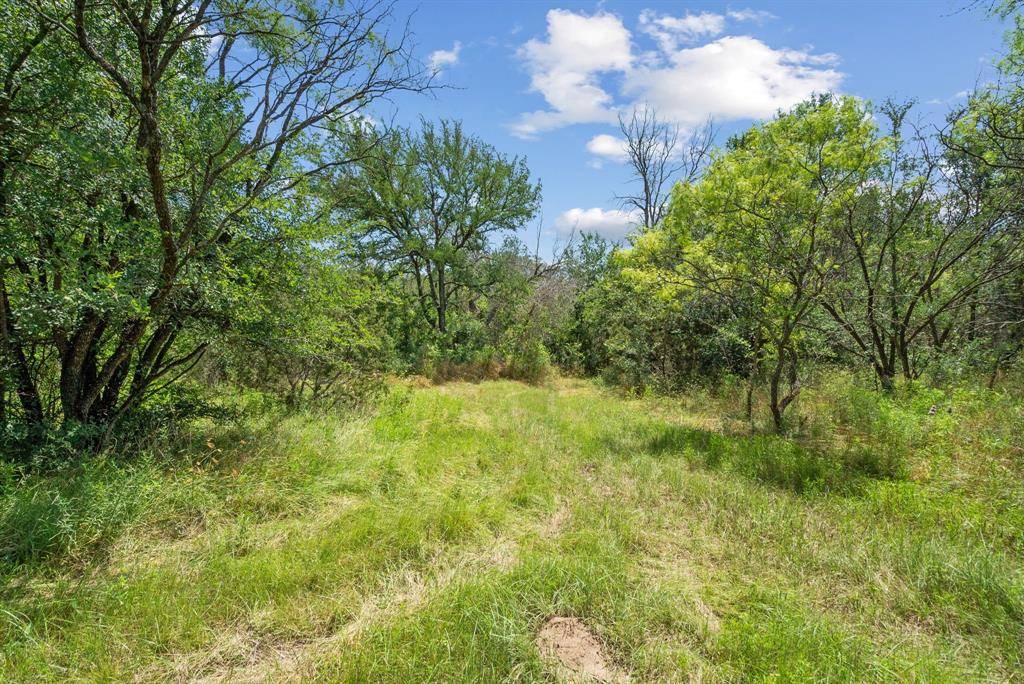 Lipan, TX 76462,TBD Boswell Court