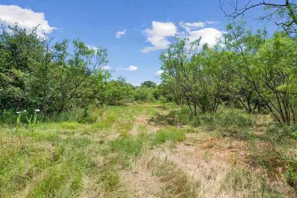 Lipan, TX 76462,TBD Boswell Court