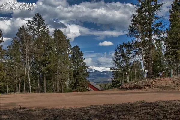 Divide, CO 80814,342 Blue Mesa DR