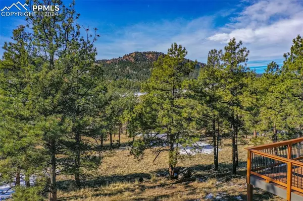 Florissant, CO 80816,234 Hackamore DR