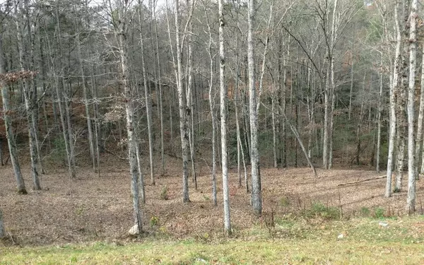 Ellijay, GA 30540,Lot #116 Jakes Landing Overlook