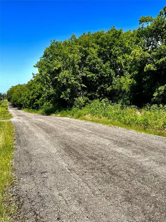 Lone Oak, TX 75453,Lot 5 CR 1610