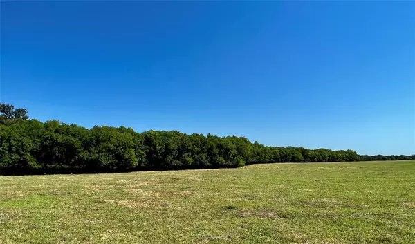 Lone Oak, TX 75453,Lot 5 CR 1610