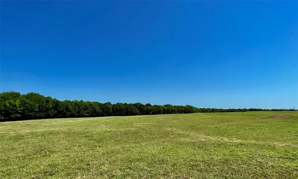 Lone Oak, TX 75453,Lot 4 CR 1610