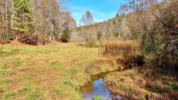 TR 3B Wolf Pen Gap Road, Ellijay, GA 30540