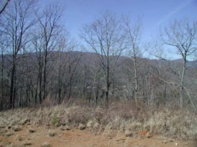 Hayesville, NC 28904,64M (Lot Mountain Harbour Drive