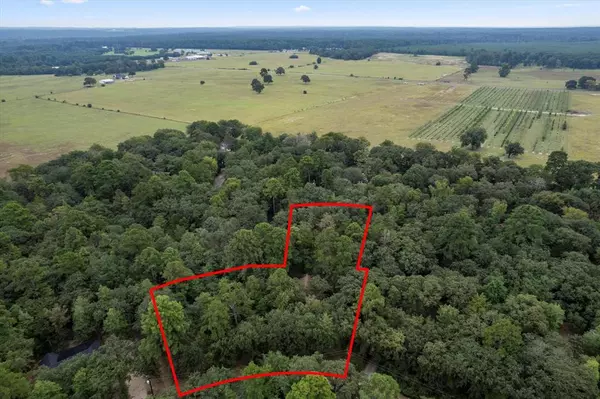 Holly Lake Ranch, TX 75765,177 Woodfern Glen