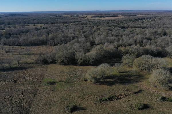 TBD Tract 2 FM 321, Tennessee Colony, TX 75861