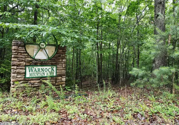 Blairsville, GA 30512,LL322 Warnock Mountain Acres Lane