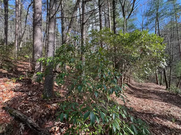 Cherry Log, GA 30522,7.72 Ac Stanley Creek Road