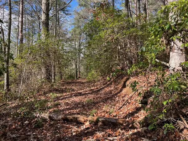 Cherry Log, GA 30522,7.72 Ac Stanley Creek Road