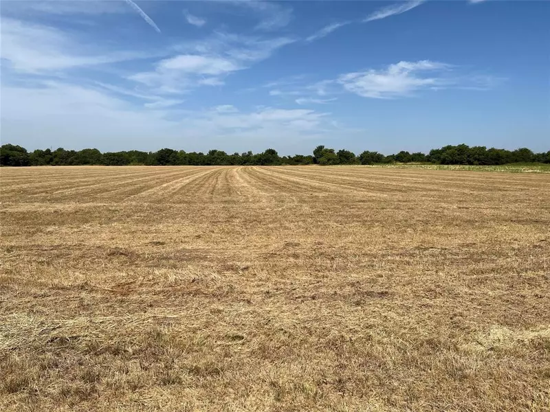 Lot 4 Rodgers Road, Sadler, TX 76264