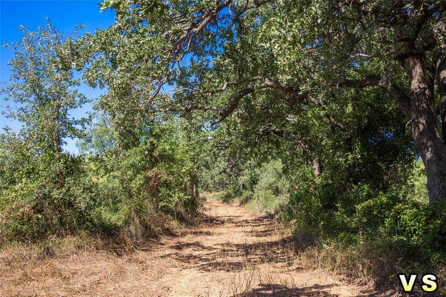 Lot 9 County Road 489, May, TX 76857