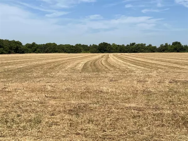 Lot 5 Rodgers Road, Sadler, TX 76264