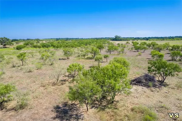 Blanket, TX 76432,lot 2 8288 County Road 329