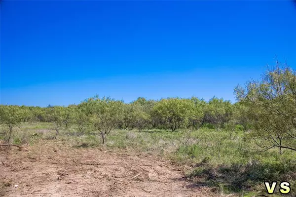 May, TX 76857,Lot 2 County Road 489