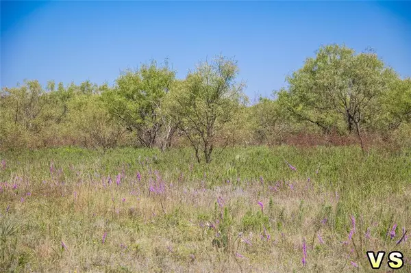 May, TX 76857,Lot 2 County Road 489