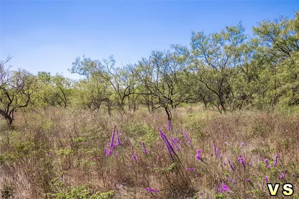 May, TX 76857,Lot 3 County Road 489