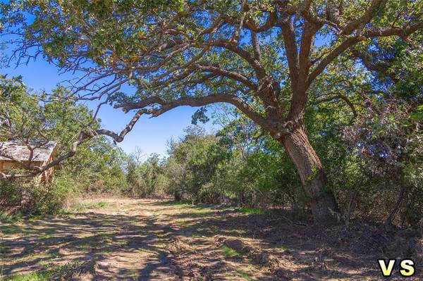 Lot 8 County Road 489, May, TX 76857